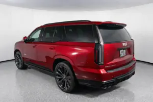 Dl2yDXxMMkGfd83x0ZfUX3K6