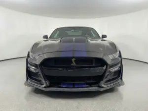 HHRfp9WemNcErn1bGqHZypMS