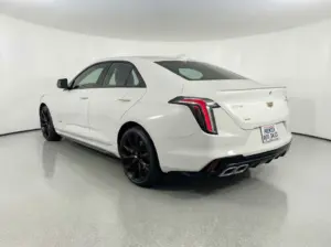 PenKGyTrrD2cjvW7xihVZPLd