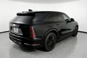 lcOWQpa8RildOjypxOxs6qlG