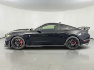 r1ciplSHSKWDVv6MTWWqrtES