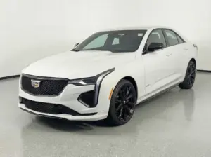 xR3MDnYKTK8m5zWi5lYwzJUJ